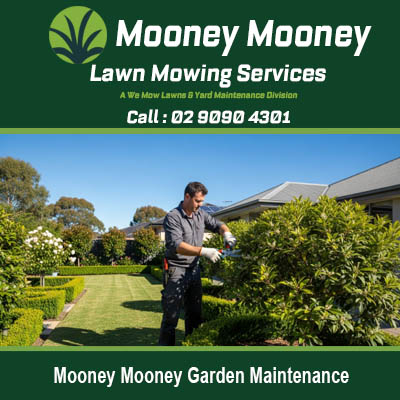 Quality garden maintenance services keeping outdoor spaces beautiful in Mooney Mooney NSW Australia