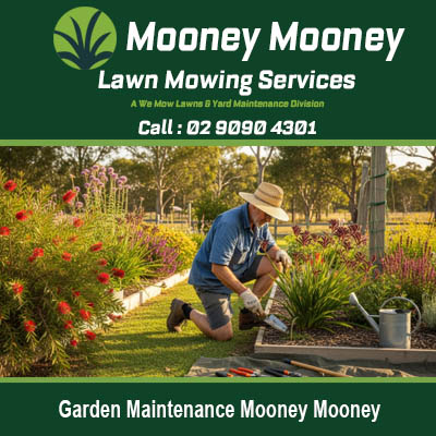 Expert gardener performing garden maintenance and plant care in Mooney Mooney NSW