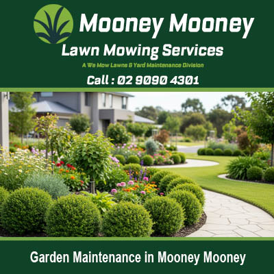 Professional garden maintenance creating pristine landscape at home in Mooney Mooney New South Wales
