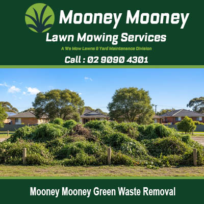 Large pile of garden waste requiring professional green waste removal in Mooney Mooney NSW