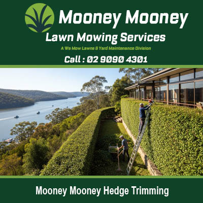 Professional hedge trimming services on waterfront property in Mooney Mooney NSW