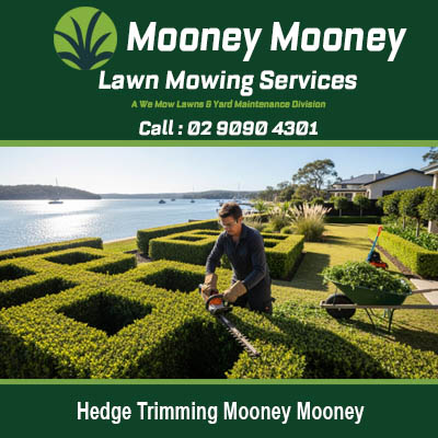 Expert hedge trimming creating manicured garden with waterfront views in Mooney Mooney NSW