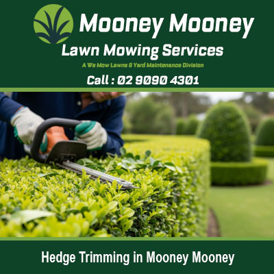 Local hedge trimming specialist providing precise garden care in Mooney Mooney NSW