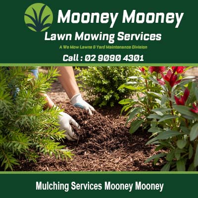Expert mulching services enriching soil and garden beds in Mooney Mooney New South Wales
