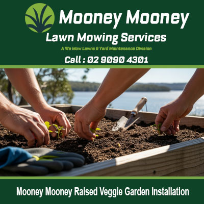 Quality raised garden bed installation for growing vegetables in Mooney Mooney NSW Australia