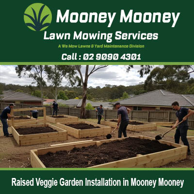 Local gardening specialists constructing raised vegetable beds for homes in Mooney Mooney