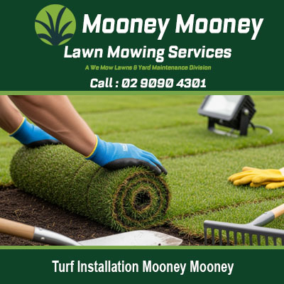 Expert turf installation creating beautiful new lawn in Mooney Mooney NSW residential garden