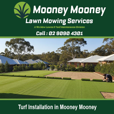 Quality turf installation transforming outdoor space at property in Mooney Mooney NSW Australia