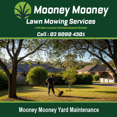 Expert yard maintenance services keeping residential lawns pristine in Mooney Mooney NSW