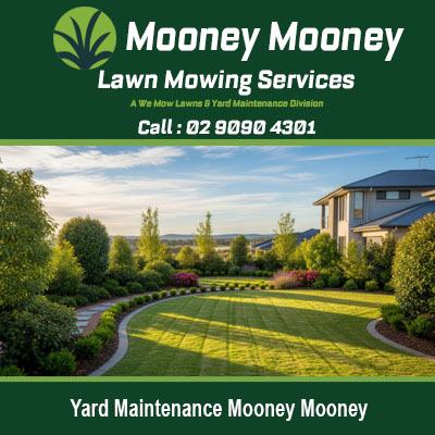 Professional yard maintenance with striped lawn and shaped hedges in Mooney Mooney NSW Australia